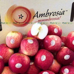 Táo Ambrosia NewZealand