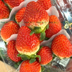 Dâu Tây Hàn Quốc - 330Gram