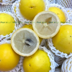 Vú Sữa Hoàng Kim