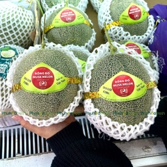 DƯA LƯỚI RUỘT XANH ICHIBA