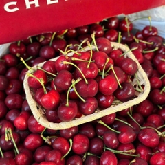 Cherry USA