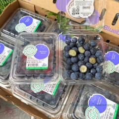 Việt Quất USA (Hộp 125g)