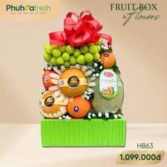 GIỎ TRÁI CÂY H863