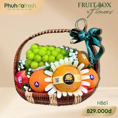 GIỎ TRÁI CÂY H861