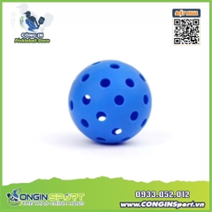 BÓNG PICKLEBALL TẬP LUYỆN Dành cho người mới bắt đầu