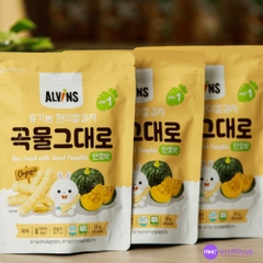 Bánh gạo lứt ăn dặm hữu cơ cho bé vị bí ngô Alvins 25g