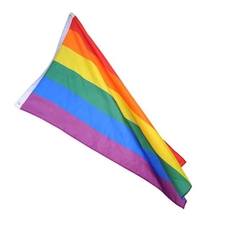 Cờ LGBT lục sắc