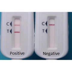 Test Hiv Bằng Dịch Miệng, Que Thử Hiv Oraquick không cần lấy máu