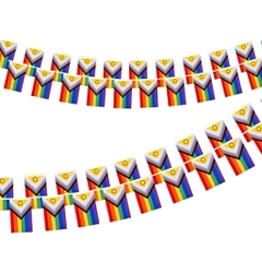 Dây Cờ LGBT Progress Pride (Plus)