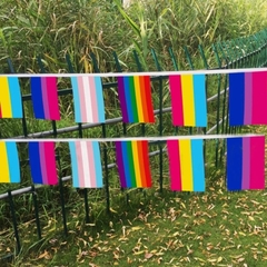 Dây cờ LGBT Cờ Tiến bộ (Progress Pride Flag)