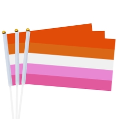 Cờ LGBT Lesbian cầm tay 14x21 cm