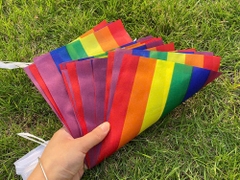 Dây cờ cầu vồng LGBT lục sắc