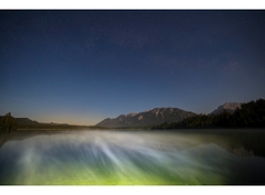 Canon EOS R5 + RF 24-70mm f/2.8L (Chính Hãng)