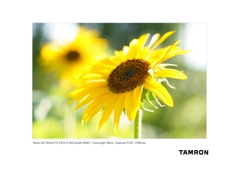 Tamron 35-150mm f/2-2.8 Di III VXD Chính Hãng – Ngàm Sony E