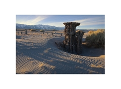 Canon RF 16-28mm f/2.8 IS STM (Chính hãng)