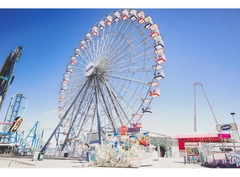 Canon RF 15-35mm f/2.8L IS USM – Likenew 99%