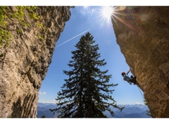 Canon EOS R5 + RF 24-70mm f/2.8L (Chính Hãng)