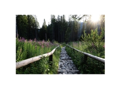 Canon RF 50mm f/1.4L VCM (Chính hãng)