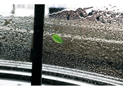 Canon RF 24-70mm f/2.8L IS USM (Chính hãng)