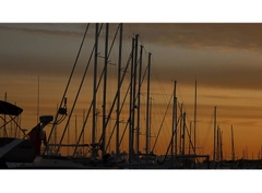 Canon RF 24-105mm f/4-7.1 IS STM - Likenew 99%