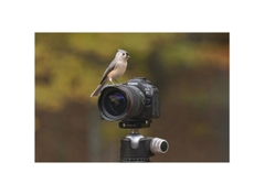 Canon EOS R6 Mark III (Chính hãng) – Kit RF 24-105mm f/4L IS USM