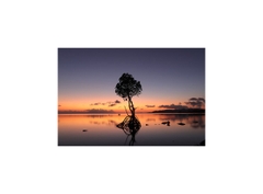 Canon EOS R50 + Kèm Kit Lens 18-45mm (Chính hãng)