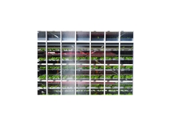 Fujifilm X-A10 + Kit 16-50mm - Cũ Likenew 99%