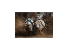 Fujifilm X-H2S (Chính hãng) (Body Only)