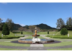 Canon RF 24-50mm f/4.5-6.3 IS STM (Chính hãng)