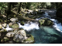 Canon RF 24-50mm f/4.5-6.3 IS STM (Chính hãng)