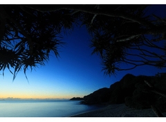 Canon RF 16mm f/2.8 STM (Chính hãng)