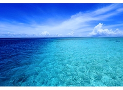 Canon RF 16mm f/2.8 STM (Chính hãng)