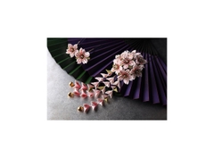 Canon RF 35mm f/1.8 IS Macro STM - Likenew 99%