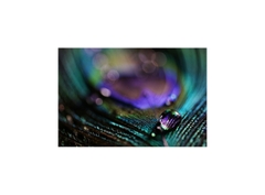 Sony A7 IV Body Only – Chính Hãng