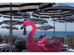 Fujifilm X-Pro3 Body (Chính hãng)