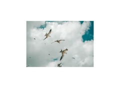 Fujifilm X-T5 - Likenew (Body Only, Black)