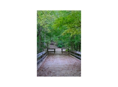 Fujifilm X-T5 (Chính hãng) (Kèm Lens Tamron 17-70mm f/2.8 III)