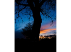 Fujifilm X-T50+ Ống kính XF 16-50 mm f/2.8–4.8 (Chính hãng)