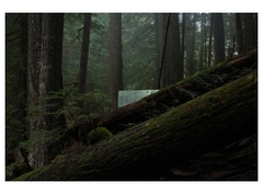 Fujifilm X100VI (HÀNG MỚI NEWSEAL)