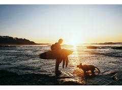 Fujifilm X-H2 (Chính hãng) (Kèm Lens Fujifilm XF 16-50mm f/2.8-4.8)