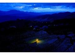 Fujifilm X-H2 (Chính hãng) (Kèm Lens Fujifilm XF 16-50mm f/2.8-4.8)