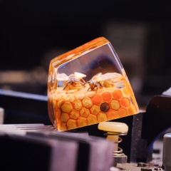 Beehive Artisan Keycap Breakwooden 2