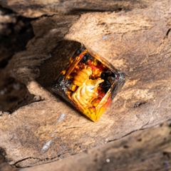 Pokemon - Arcanine Artisan Keycap Breakwooden 4