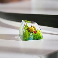 Pokemon - Bidoff Artisan Keycap Breakwooden 2