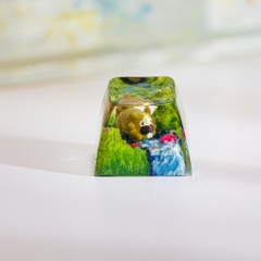 Pokemon - Bidoff Artisan Keycap Breakwooden 2