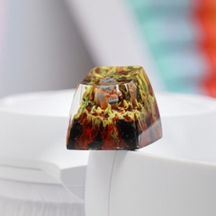 Pokemon - Camerupt Artisan Keycap Breakwooden