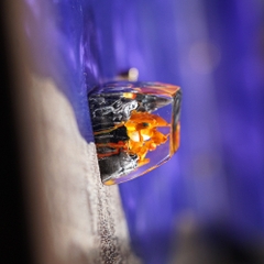 Pokemon - Charizard Artisan Keycap Breakwooden 18