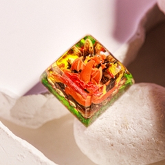 Pokemon - Charizard Artisan Keycap Breakwooden 4