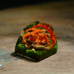 Pokemon - Charizard Artisan Keycap Breakwooden 7