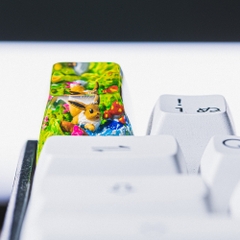 Pokemon - Eevee Artisan Keycap Breakwooden 10